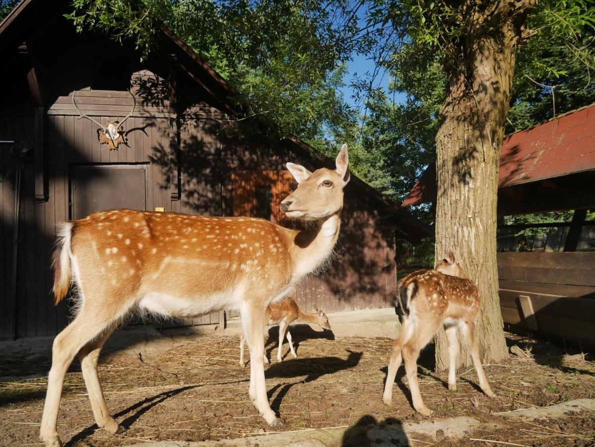 Penzion Obora Prostřední Bečva Kültér fotó